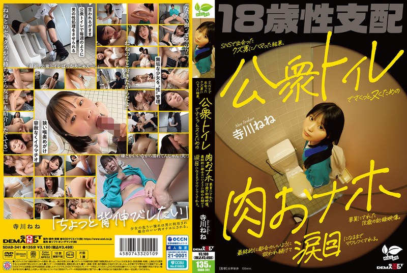 Mosaic Removed SDAB-341 SNSで出会ったクズ男にハマった結果、公衆トイレでさくっとヌくための肉おナホ要員にされた18歳の記録映像。最終的に都合のいいように扱われ続けて涙目になるまでマワしつくされる。 寺川ねね