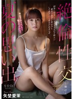 【数量限定】田舎に帰省している元グラドルの干物女が童貞の義弟を筆おろししてあげたら暴走が止まらず絶倫性交し続けた夏の思い出 矢埜愛茉 パンティと写真付き
