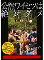 公然ワイセツは絶対ダメ