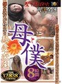 母と僕 8時間2枚組 【2枚組】（DOD）