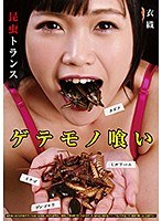 占位图