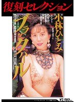 占位图