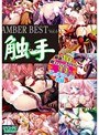 AMBER BEST Vol.6 （DVDPG）