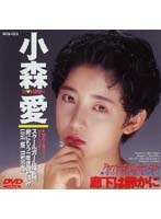 廊下は静かに