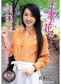 【ベストヒッツ】人妻の花びらめくり 佐伯かのん【アウトレット】