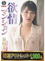 【特選アウトレット】欲情マンション 春原未来