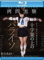 もう一度だけ会えたなら... 十字架の上のパライソ 枢木あおい （ブルーレイディスク）