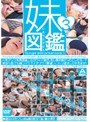 妹図鑑3