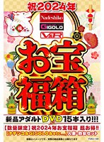 【数量限定】祝2024年お宝福箱 超お得！！【ナデシコ＆GIGOLO＆etc...】人妻・熟女セット