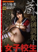 蔵の中で緊縛調教される女子校生 酒浸り親父の借金のカタに売られた田舎娘。ムチ尻に喰い込む縄と蝋燭に悶え哭く 河合陽菜 （DOD）のサムネイル画像