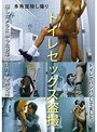 トイレセックス盗撮