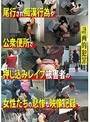 計画的犯罪 尾行され痴●行為や公衆便所で押し込みレ●プ被害者の女性たちの悲惨な映像記録