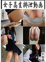 女子校生排泄動画 （DOD）