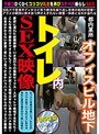 トイレ内SEX映像 （DOD）