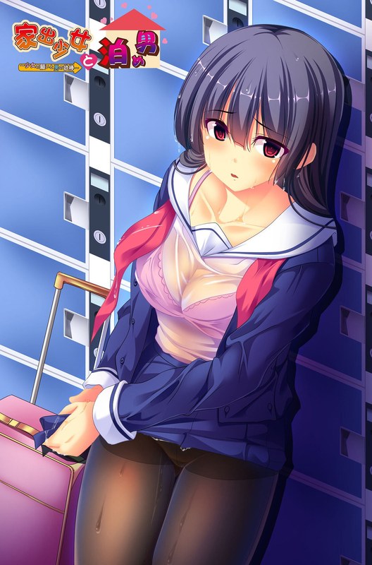 家出少女と泊め男〜少女の願いと男の欲棒〜 廉価版 （DVDPG）