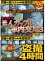 ◆発情◆ 素人カップル車内交尾 3 盗撮4時間