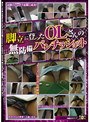 脚立に登ったOLさんの無防備パンチラショット