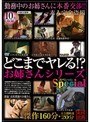 どこまでヤレる！？ お姉さんシリーズSpecial 傑作160分＋未公開映像20分