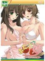ふたご姉 〜姉×2とのエッチな関係〜 （DVDPG）
