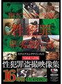 スクエアエンタテインメント実録素人投稿 性犯罪盗撮映像集 16時間4枚組1980円