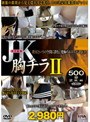 JK胸チラ500分2枚組 II