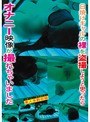 日焼けギャルの裸を盗撮しようと思ったらオナニー映像が撮れちゃいました