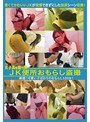 女子校を襲う罠 JK便所おもらし盗撮