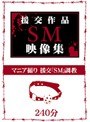 援交作品SM映像集