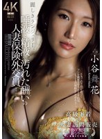 CHINASES SUB JUR-113 麗しきランジェリー、唾液と精液で汚れた酬いの人妻保険外交員 小谷舞花