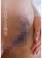 占位图