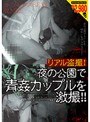リアル盗撮！夜の公園で青姦カップルを激撮！！