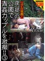 リアル盗撮！ 夜（昼）の公園で青姦カップルを激撮！！ 3 （DOD）