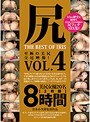 尻 THE BEST OF IRIS Vol.4