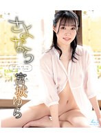 占位图