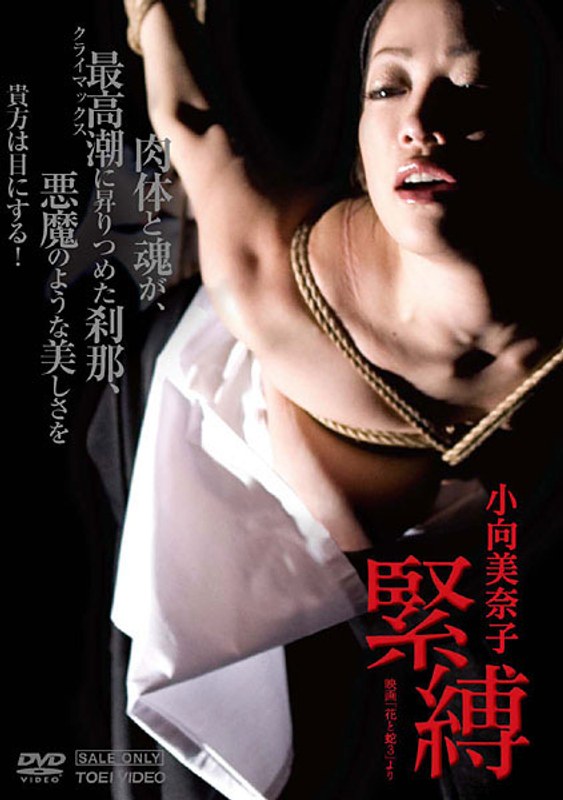小向美奈子 緊縛-映画「花と蛇3」より-