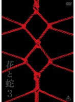 花と蛇3 特別版のサムネイル画像