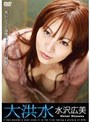 大洪水/水沢広美