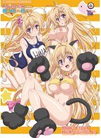 （抱き枕カバー付き）バカな妹を利口にするのは俺の××だけな件について子猫も大好き！！ 御津井 芭華◆にゃんこな姿でぺろぺろしちゃうぞ◆ 編