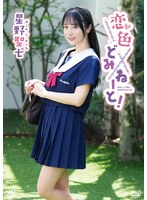 【数量限定】恋色どみねーと！/星野聖七 チェキ付き