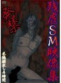 発禁 残虐SM映像集
