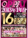OPPAI 2013年1年分 全タイトルまるごと収録!!16時間