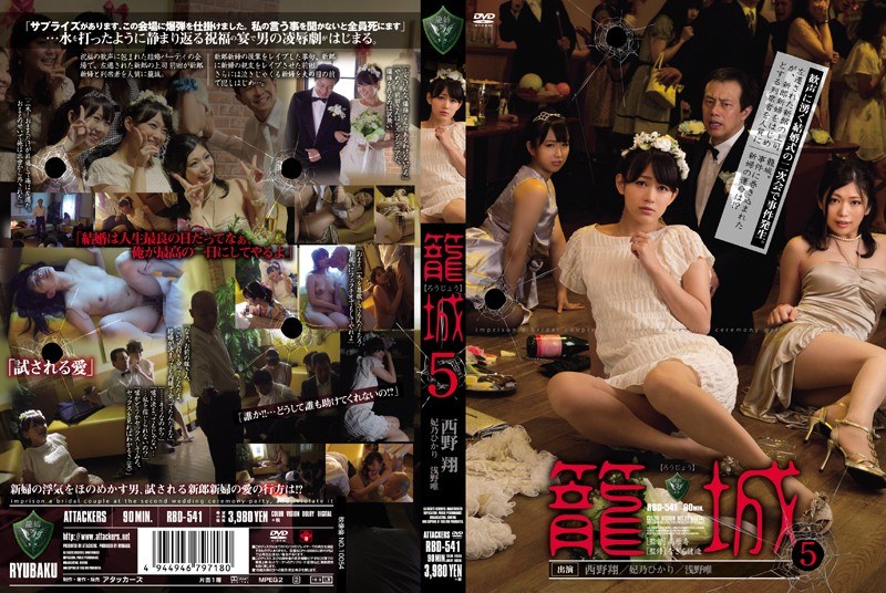 Reducing Mosaic RBD-541 籠城5 西野翔 妃乃ひかり 浅野唯