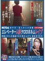 府中市・犯人からの投稿 エレベーター人妻クロロホルムレ●プ 昏●させられ強●された奥さんたち 被害者16名 （DOD）