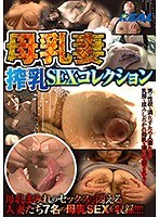 母乳妻 搾乳SEXコレクション （DOD）