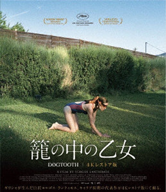 film thumbnail