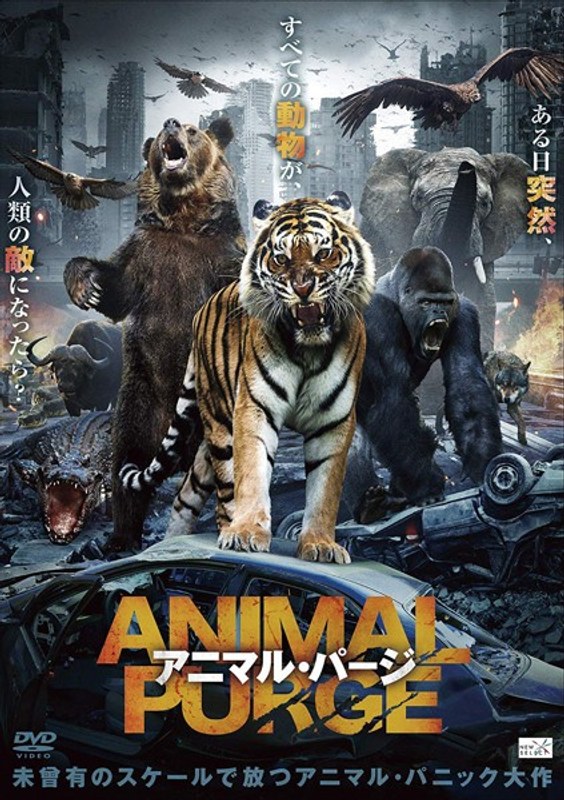 film thumbnail