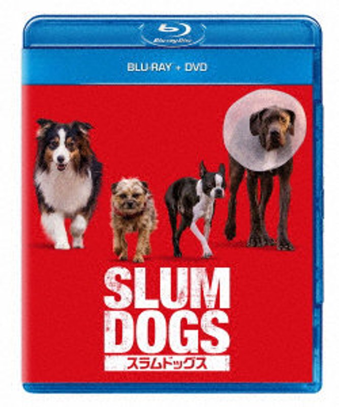 film thumbnail
