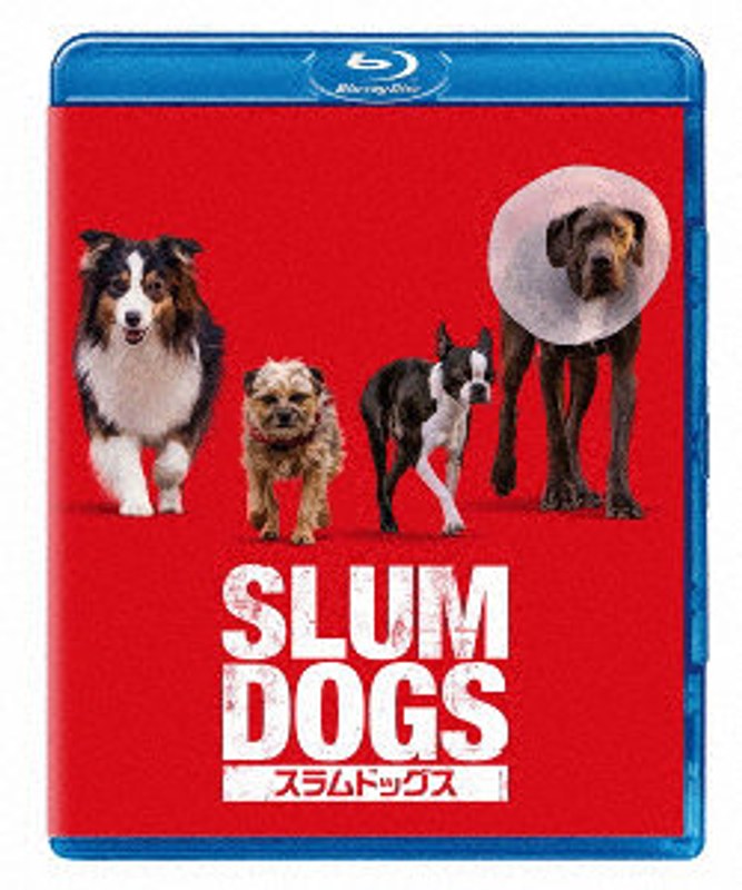 film thumbnail