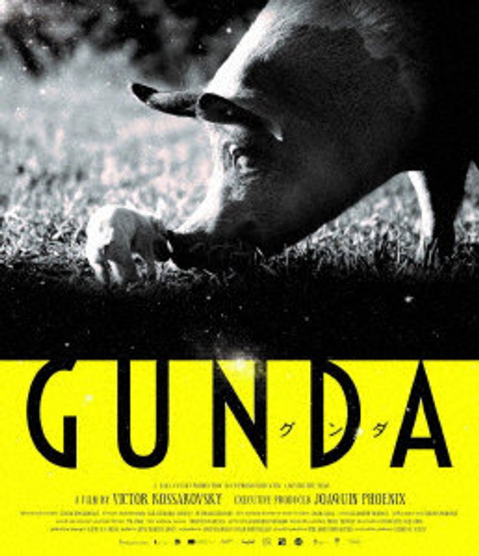 film thumbnail