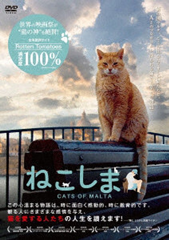 film thumbnail